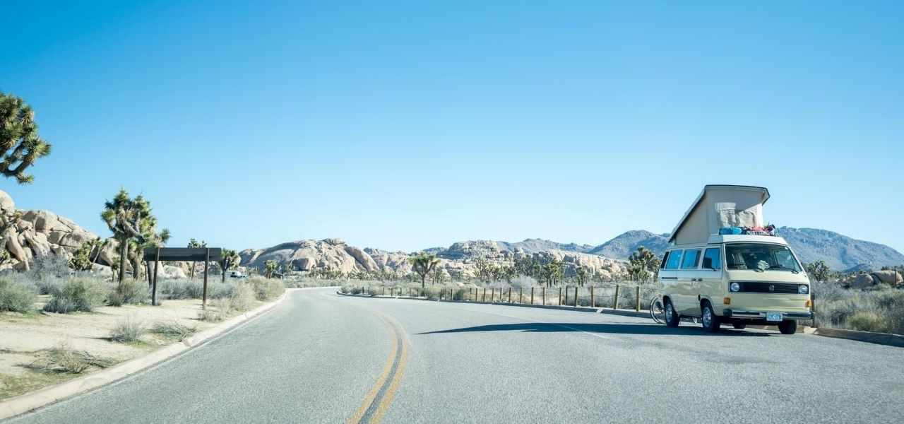 How to support Joshua Tree National Park from a distance during the coronavirus