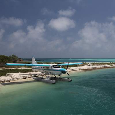 Visit Dry Tortugas: where the Caribbean and Gulf of Mexico converge