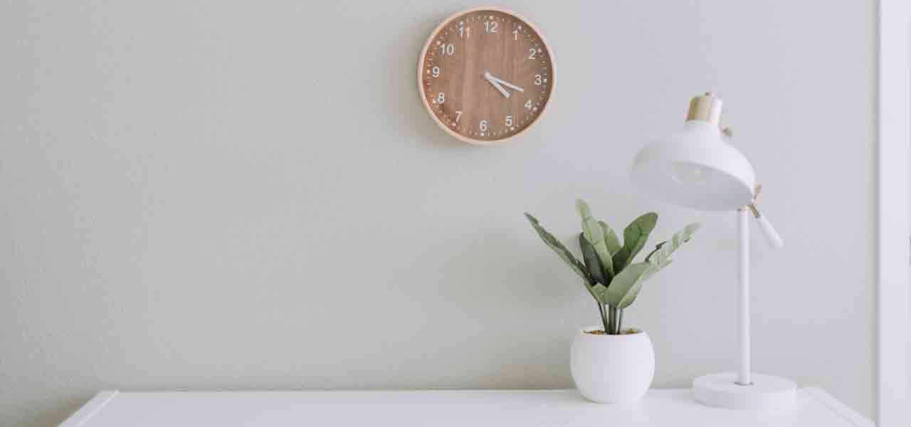 Turn Your Desk Into A Sanctuary: 5 Plants To Add Life To Your Office Space