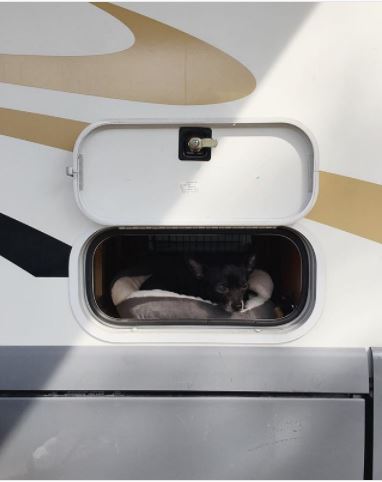 Small dog tucked into re-purposed RV storage bin